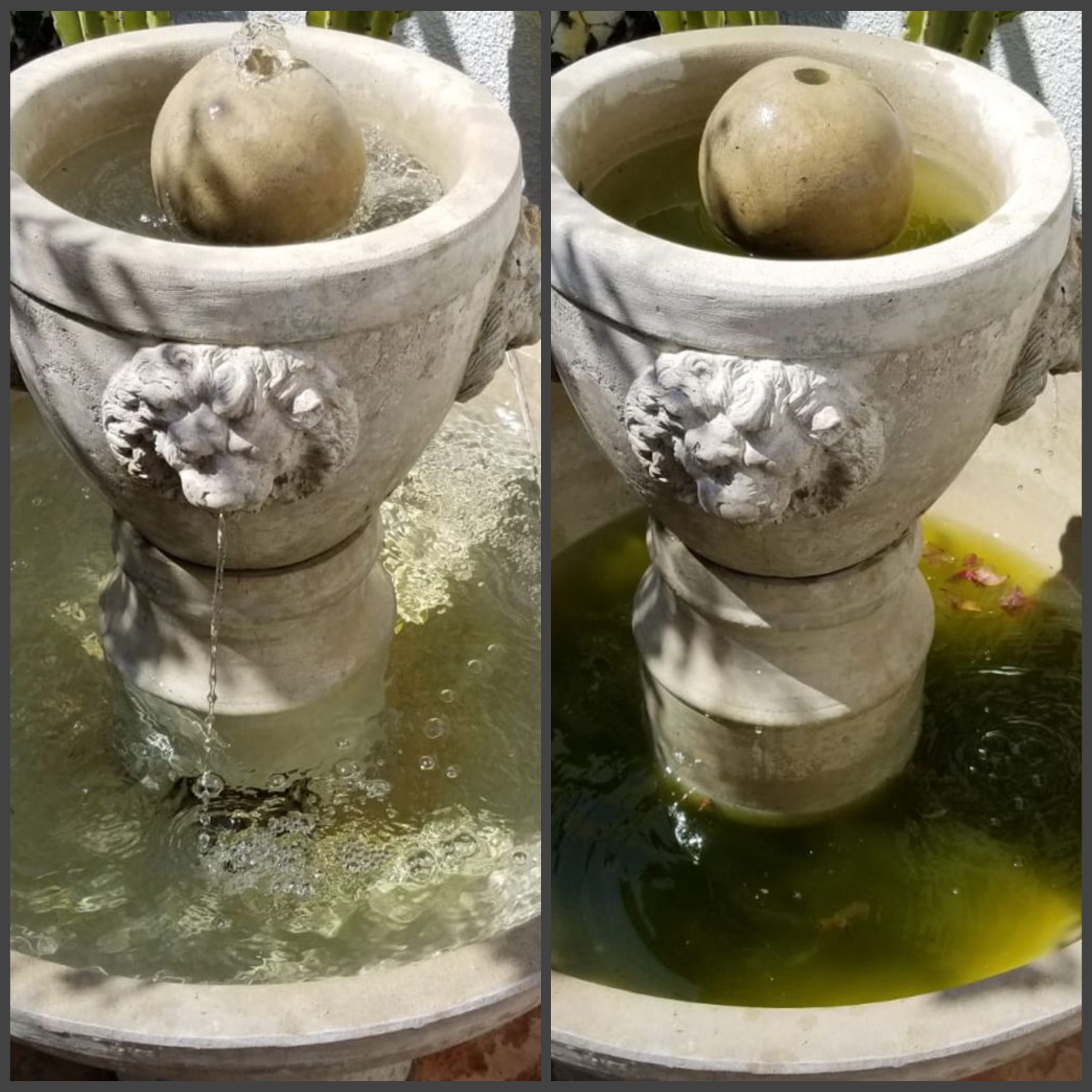 Quality fountain restoration