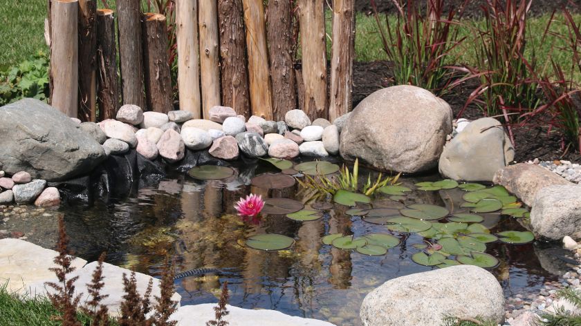 Looking for Emergency Pond Repair in California?